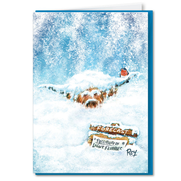 Full Set of 4 "Christmas Coo" Greeting Cards