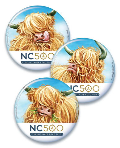 NC500 Magnets